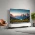 Vizio Quantum X