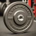 Vulcan Alpha Bumper Plates