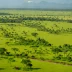 Virunga Savanna