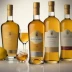 Verpoorten Advocaat