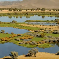 Vina Plains Preserve