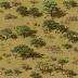 Vaalbos Rocky Shrubland