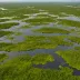 Vasyugan Swamp