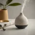 Vitruvi Stone Diffuser