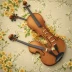 Violin Sonata No. 5 in F major, Op. 24 "Spring"
