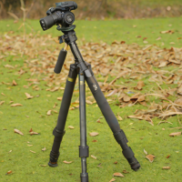 Vanguard Alta Pro 2 Monopod