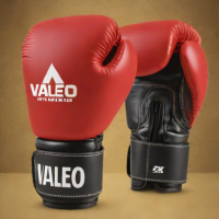 Valeo Starter Boxing Gloves