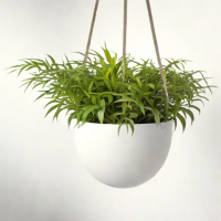Veradek Sierra Hanging Planter