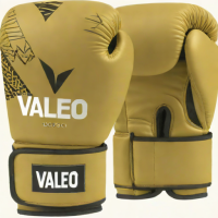 Valeo Volt Boxing Gloves