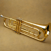 Vincent Bach TB311 Student Trombone