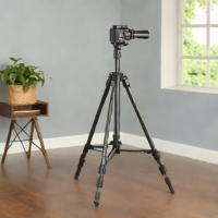 Vanguard VEO 2S 75 Light Stand