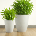 Veridian Bamboo Fiber Planters