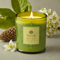 Voluspa Baltic Breeze Candle