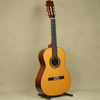 Vega Guitars VC100 Classical Guitar
