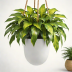 Veradek Coco Planter - Hanging