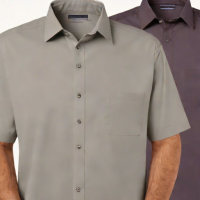 Van Heusen Flex Collar Shirt