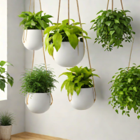 Vibe Home Hanging Planters