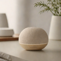Vitruvi Stone Diffuser