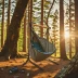 Wise Owl Outfitters Hammock Chair