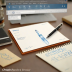 Waterman Limusa Fountain Pen