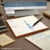 Waterman Limusa Fountain Pen
