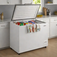Whirlpool 16 cu. ft. Chest Freezer