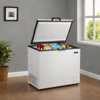 Whirlpool 10.0 cu. ft. Portable Chest Freezer