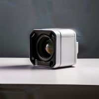 Wyze Outdoor Floodlight Camera