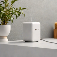Wyze Plug