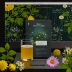Wildwood Teas Nightfall Chamomile
