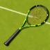 Wilson Blade 98 (16x19)