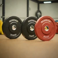 Werksan Training Bumper Plates