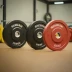 Werksan Training Bumper Plates