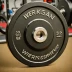 Werksan Economy Training Bumper Plates