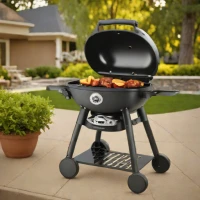 Weber Q 2200 Portable Gas Grill