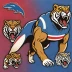 Western Bulldogs