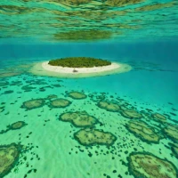 Waterlemon Cay Sandbar