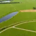 Walpole Island Prairie