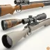 Weatherby Element