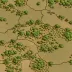 Western Maputaland Sandy Bushveld