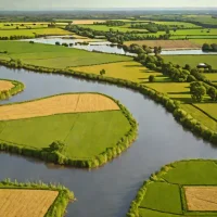 Wheatfen Broad and Marshes