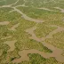 Waza-Logone Floodplain
