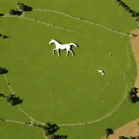 Waimate White Horse