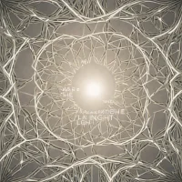 We Are the Light