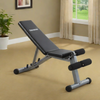 Weider XBR-290 Adjustable Bench