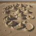 Wister Mud Pots