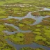 Whangamarino Wetland