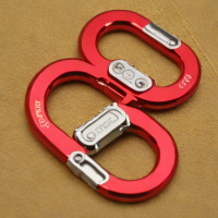 Wild Country Spider Screwgate Carabiner