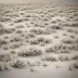 Winter Hill