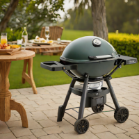Weber Q1200